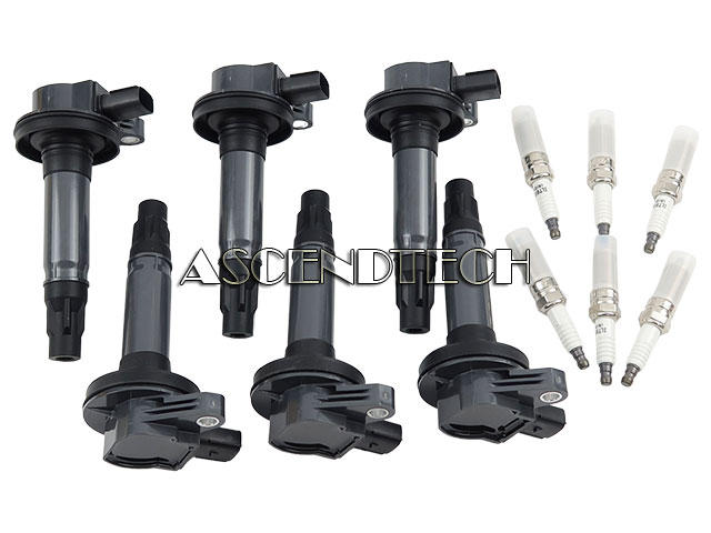 Torchbeam 6 Pack Dg520 Ignition Coils Torchbeam 6 Pack Dg520 Ignition Coils