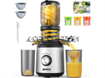Ganiza Gj10 350W Juicer Machine