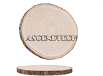 Natural Paulownia Wood Slices P20240813