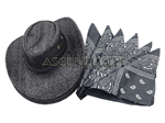 Zhanmai Western Party Accessory Set. Part Number: Western_Party_Accessories
