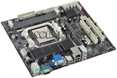 AMD SOCKET AM3+ FX X8 / PHENOM II X6