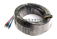 Bizlink E164571 20' Dvi/Rca Cable
