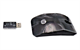 Hp Wireless Mouse & Receiver 704220-001