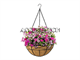 Hanging Planters Kl-Gd-Planter-16-2